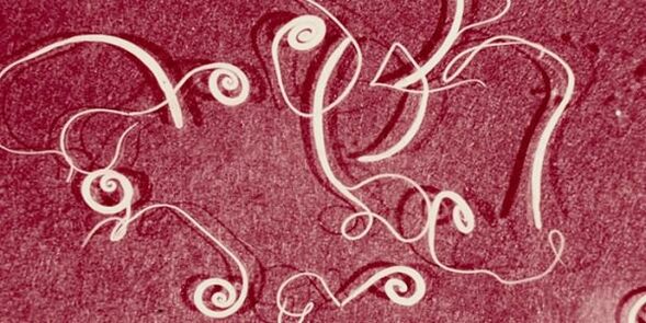 zdjęcie ludzkich pasożytów